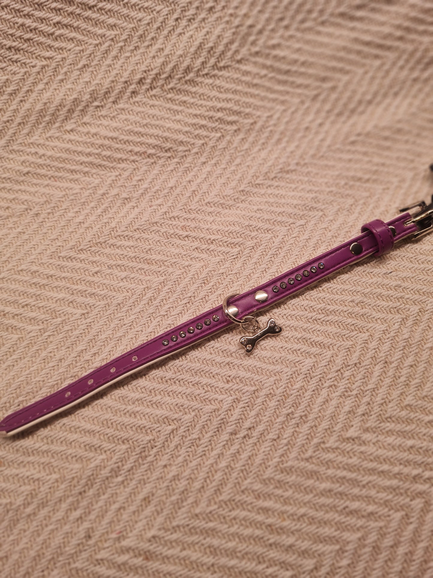 Collier pour petit chien – Violet avec breloque