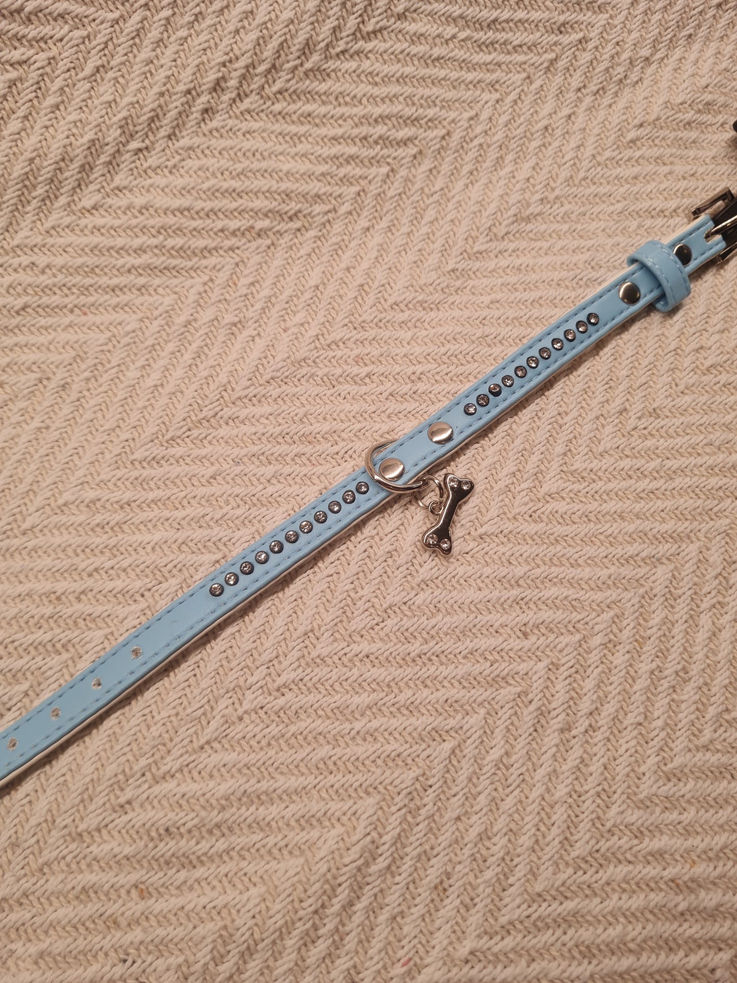 Collier pour petit chien – Bleu ciel avec breloque
