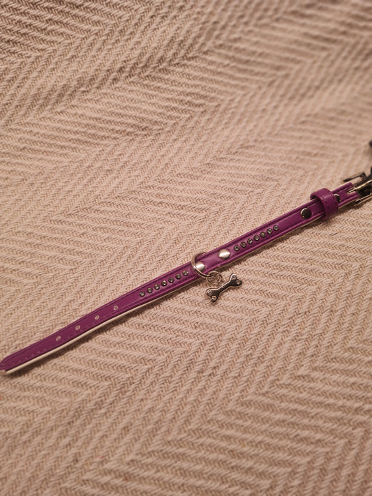 Collier pour petit chien – Violet avec breloque